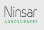 Ninsar